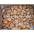 seafood frozen cooked fresh mussel meat